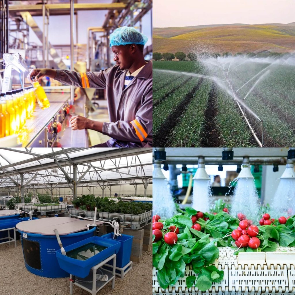 application of best reverse osmosis water system