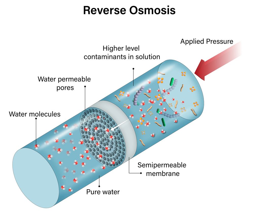 Will Reverse Osmosis Remove Bacteria 2 reverse osmosis membrane